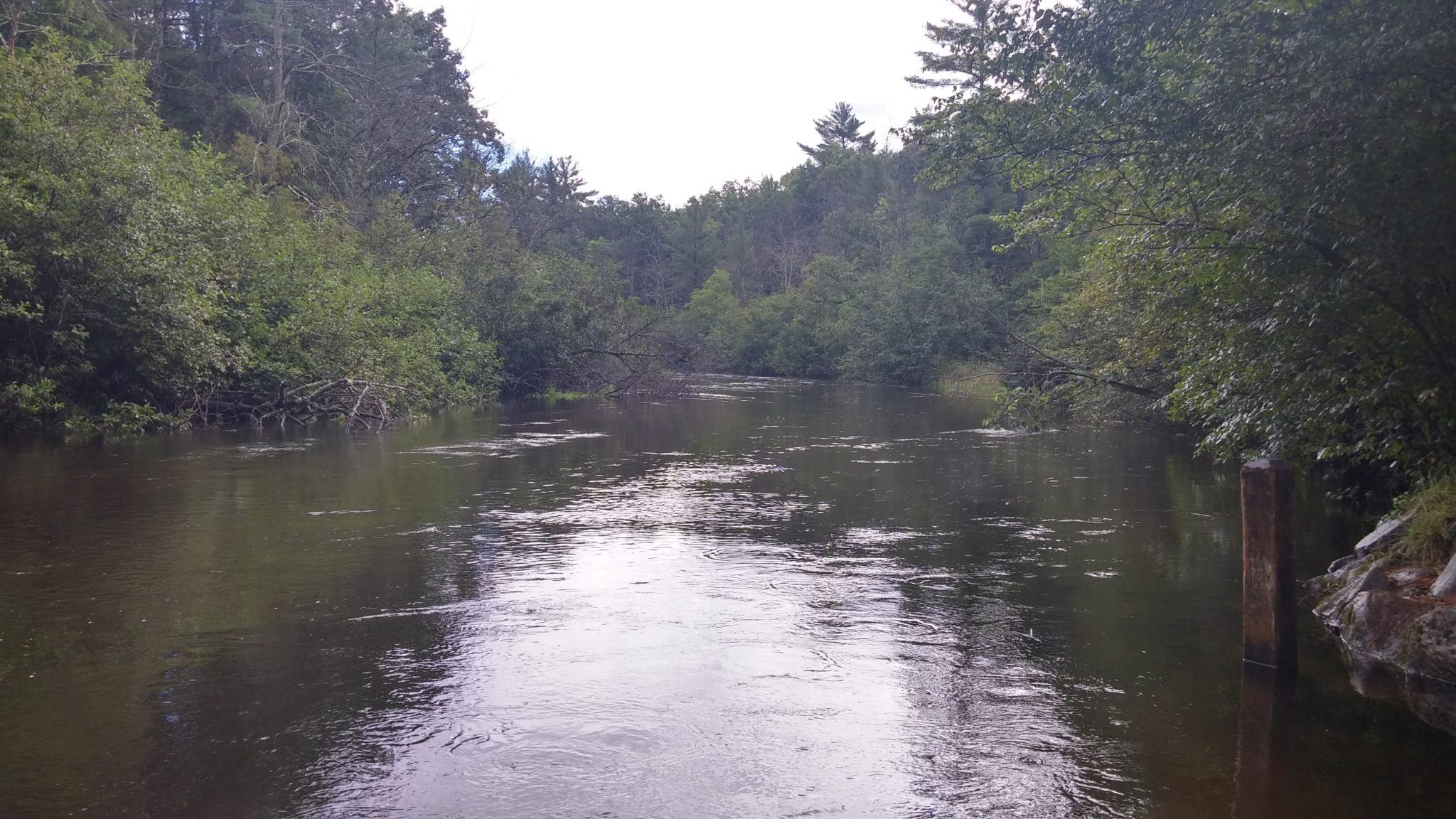 Pere Marquette River - Baldwin Canoe Rental & RV Park